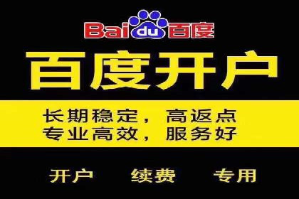 竞价推广与SEM托管双剑合璧——一则营销案例解析